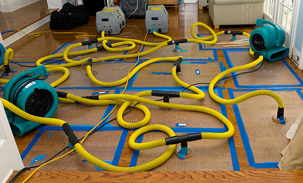Professional Basement Flood Cleanup technician working in Kelso, TN